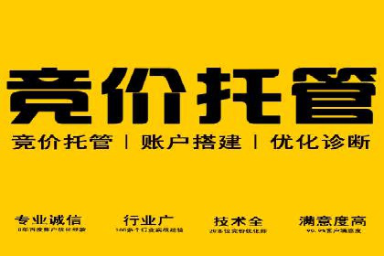 深度解析：百度SEO推广公司的几个关键成功因素